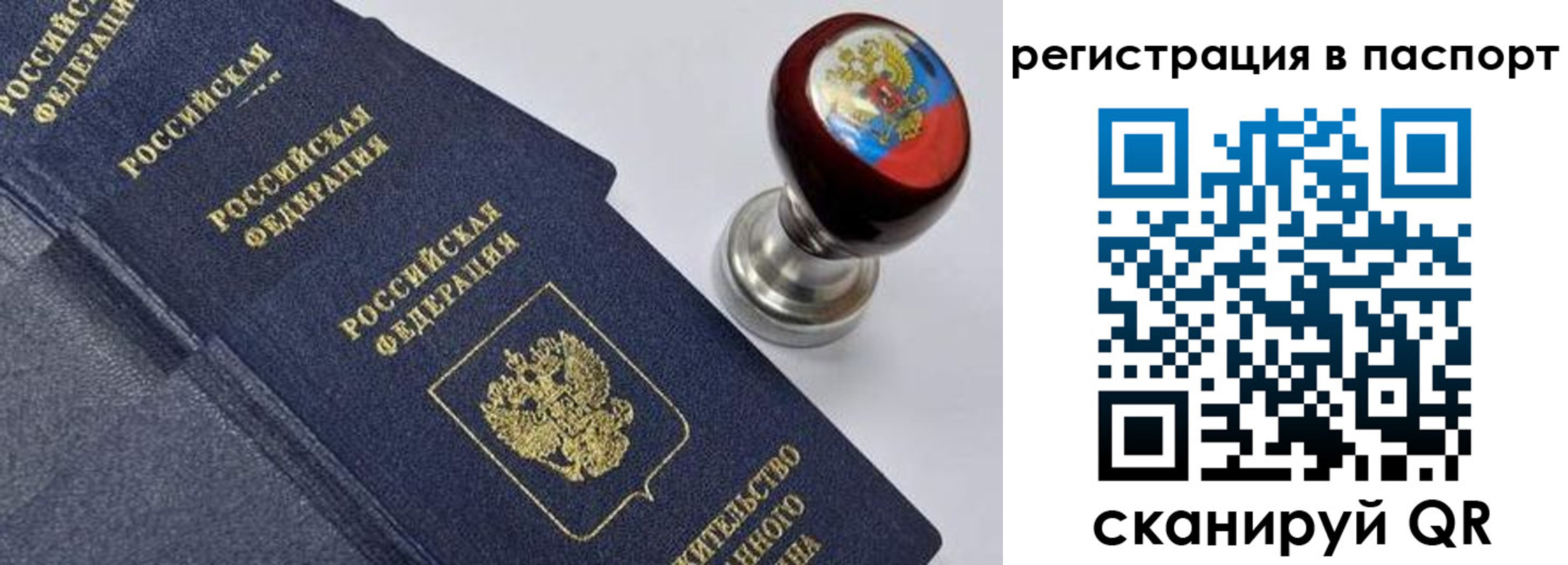 прописка поиск в Ржеве